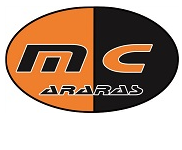 Florestan Fernandes - Template